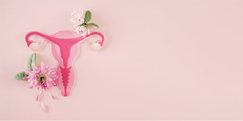 18 de Octubre: Día Mundial de la Menopausia. Hablemos sin tabúes